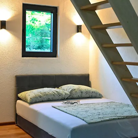 Freedom In Forest * Jajca