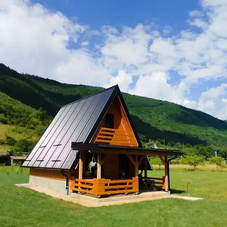 Freedom In Forest Hébergement de vacances