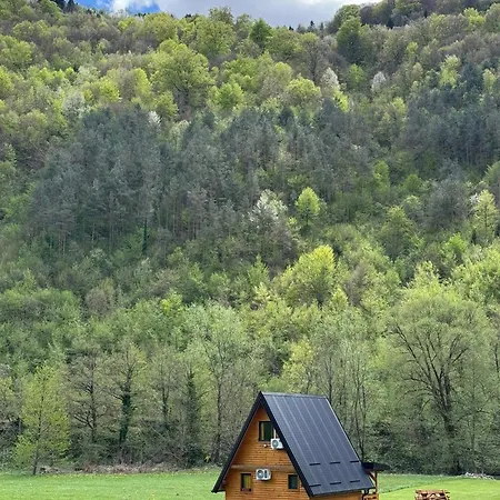 Freedom In Forest *