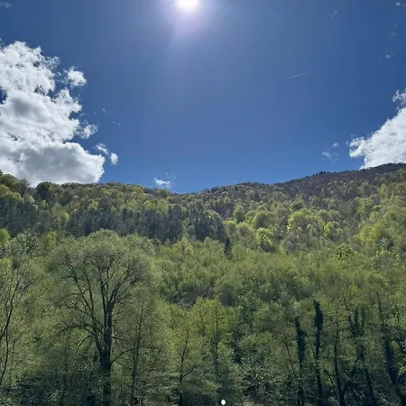 Freedom In Forest ヤイツェ