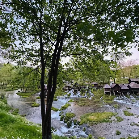 펜션 Freedom In Forest 야이체
