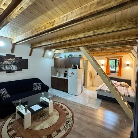 Freedom In Forest ヤイツェ