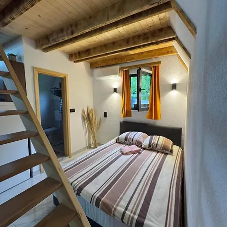 Freedom In Forest Hébergement de vacances