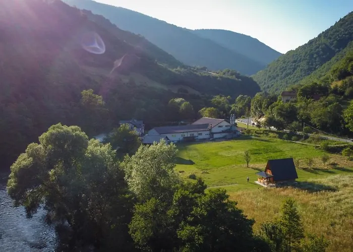 Freedom In Forest Jajca