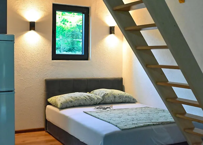 Freedom In Forest * Jajca