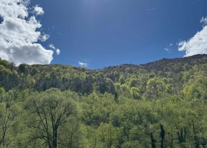 Freedom In Forest Jajca